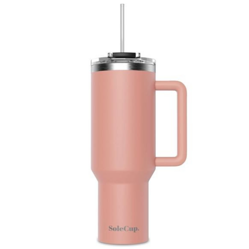 Stainless Steel Water Bottle Cups and Travel Mug with Handle, Lid and Two Straws