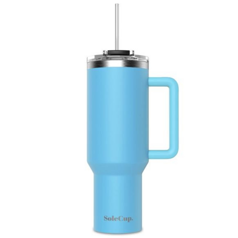 Stainless Steel Water Bottle Cups and Travel Mug with Handle, Lid and Two Straws